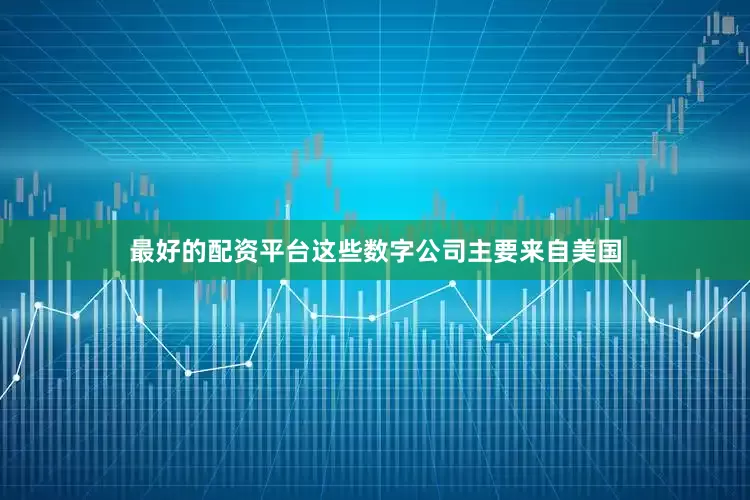 最好的配资平台这些数字公司主要来自美国