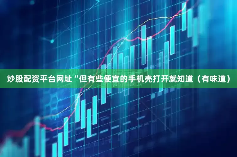 炒股配资平台网址“但有些便宜的手机壳打开就知道（有味道）