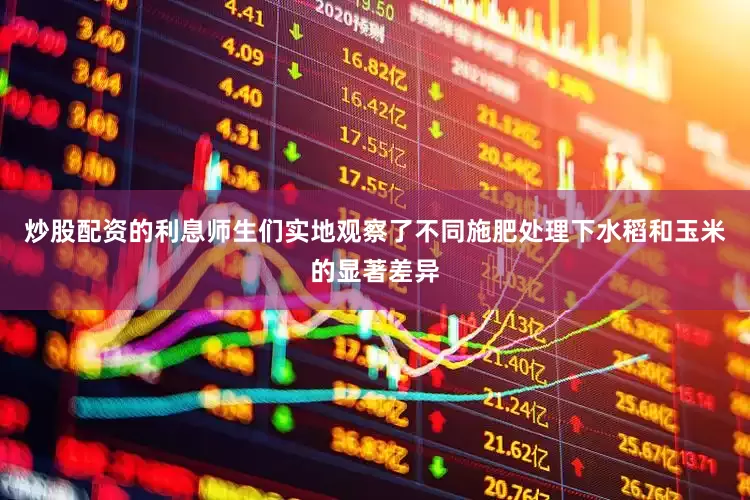 炒股配资的利息师生们实地观察了不同施肥处理下水稻和玉米的显著差异