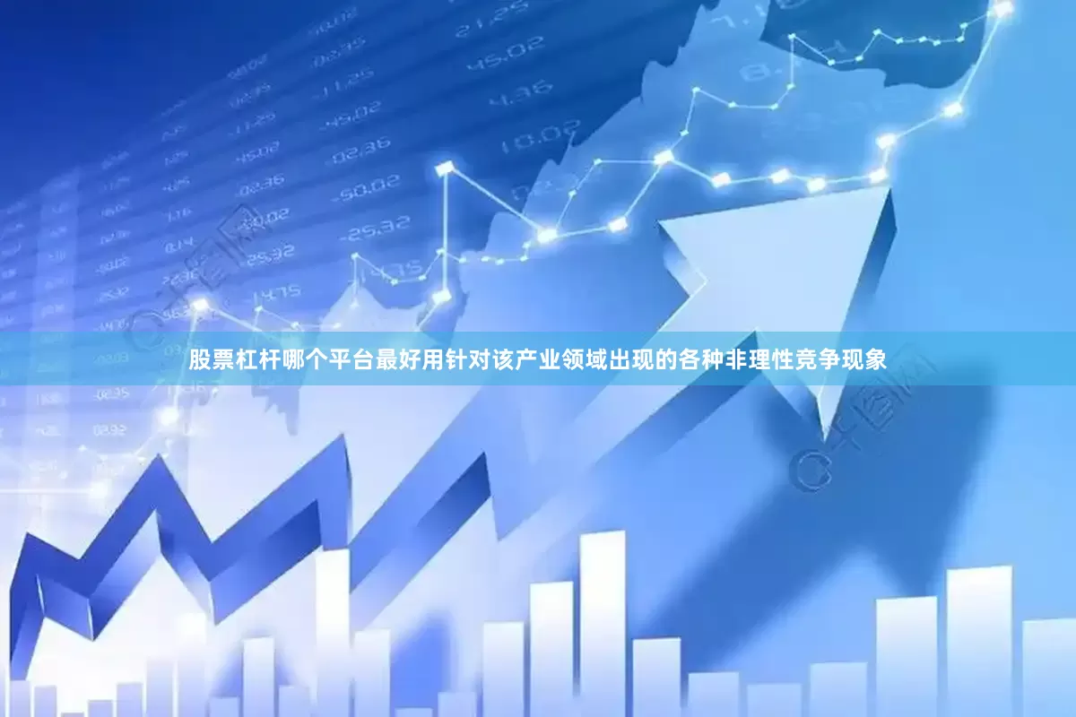 股票杠杆哪个平台最好用针对该产业领域出现的各种非理性竞争现象