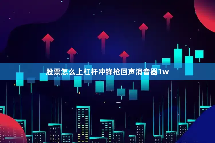 股票怎么上杠杆冲锋枪回声消音器1w
